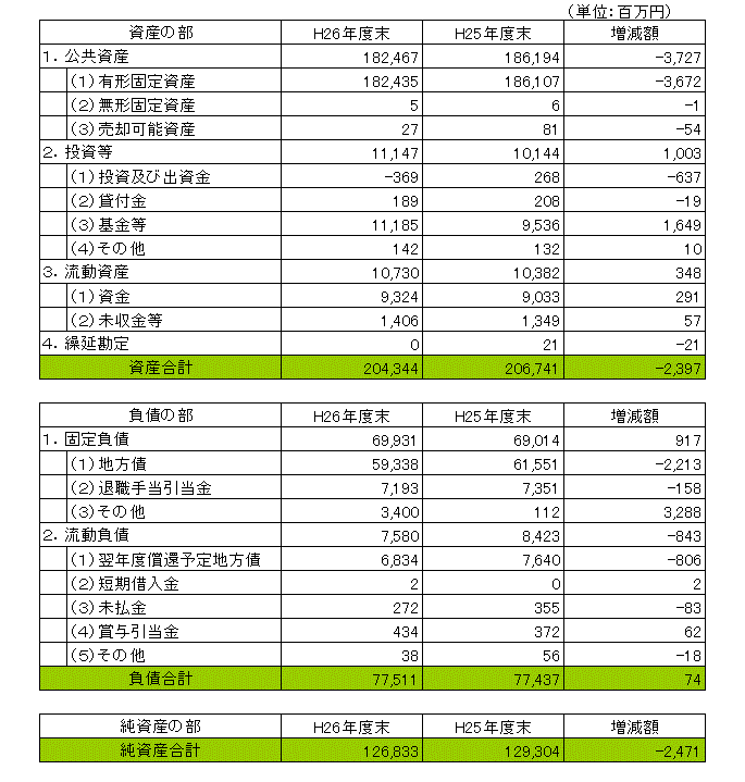 雲南市貸借対照表（バランスシート）