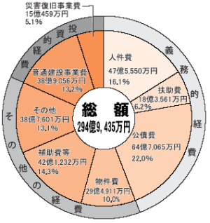 普通会計性質別決算額・円グラフ（総額294億9,435万円）