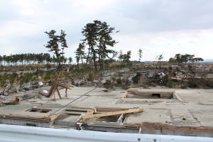 岩沼市沿岸部の被害状況