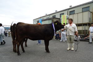 特選賞首席に輝いた渡部学さんのゆうか号