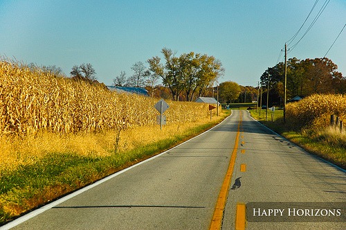 インディアナ州の長い直線道路