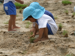 三刀屋幼稚園庭の芝生化