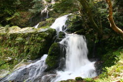 美しい流れの雌滝