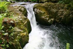 河鹿滝の写真
