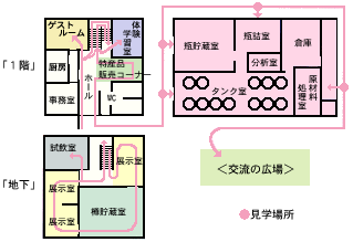 ワイナリー内の写真