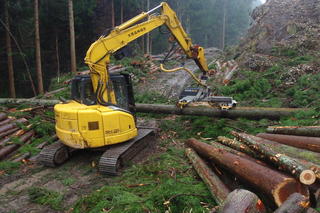 高性能林業機械による森林施業の様子