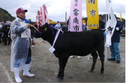 島根中央子牛共進会開催