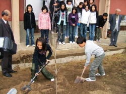 人権の樹記念植樹(斐伊小学校)