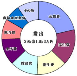 歳出295億1,653万円