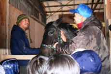 2頭の馬の到着を喜ぶ寄田さんと田中さん(右)