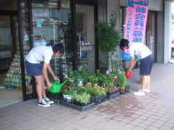 花屋での職場体験学習