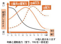 年齢と運動能力グラフ