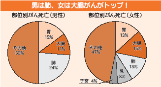 部位別がん死亡率グラフ