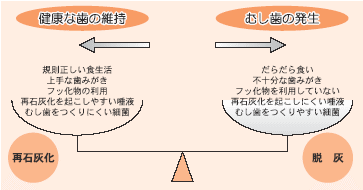 健康な歯を維持するためのバランス図