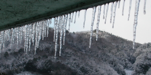 近年見かけなくなった氷柱