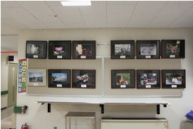 展示者:木次写真クラブ 作品:写真