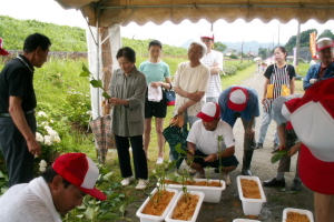 あじさい祭り