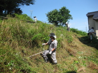 共同美化作業