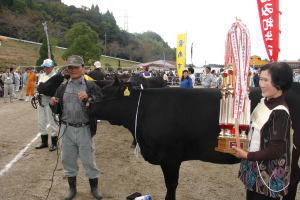 平成23年度島根県種畜共進会