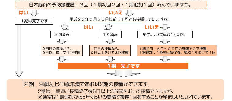 日本脳炎予防接種の受け方