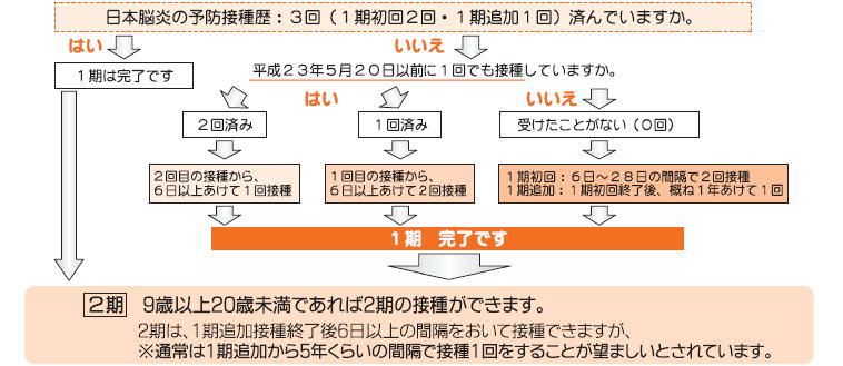 日本脳炎予防接種の受け方