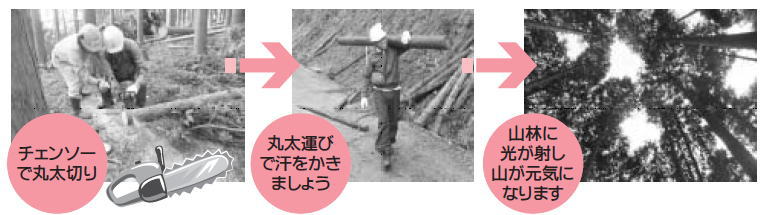 1.山から木を出して現金と地域通貨をもらおう!~参加者募集~