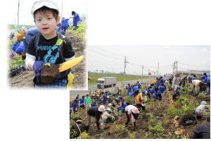 千年希望の丘植樹祭の様子