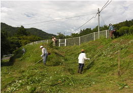 お助け隊メンバーによる草刈り