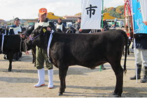 グランドチャンピオンを獲得した藤原さんとたかひで2号