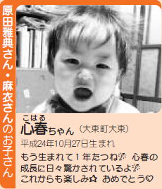 こはるちゃんの写真