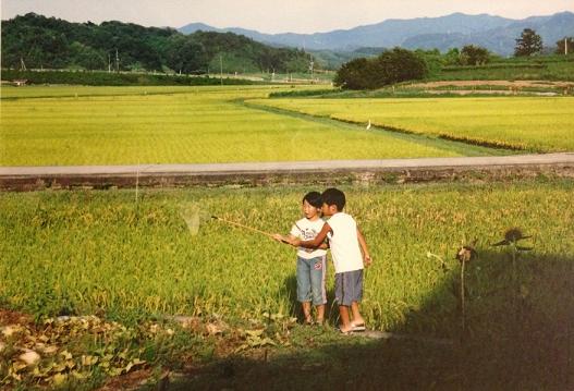 木次写真クラブさんが撮影した写真