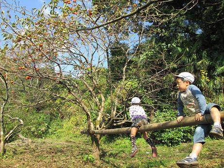 中野正蔵坊たんけんの森での子どもたちの写真