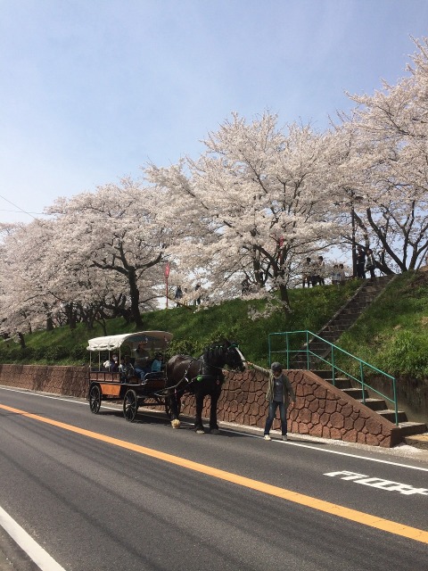 昭和30年代まで走っていた「花馬車」が復活