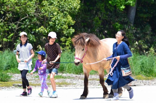 さくらおろち牧場オープンイベントの様子