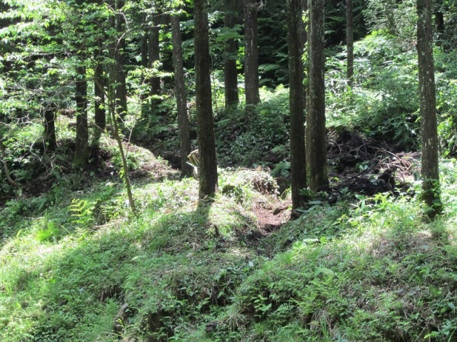 菅谷たたら山内の近くで行われていた鉄穴流しの砂鉄選鉱場跡（萱ノ鉄穴場跡）