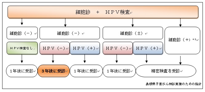 検査結果と、次回の検査時期をまとめたチャート