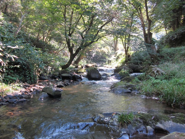 高殿に吹く風の通り道となっている菅谷川の渓流