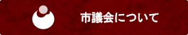 市議会について