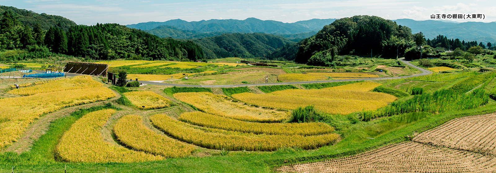 山王寺の棚田（大東町）