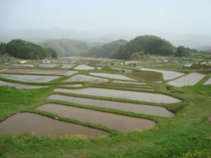 山王寺の棚田風景