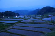 夜の山王寺の棚田