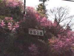 吉田公園の写真