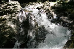 姫滝の写真