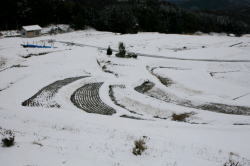 2月の景色の写真