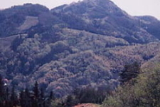 八雲山からの眺めの写真