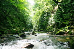 遊歩道沿いを流れる渓谷