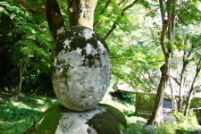 光明寺 屋根