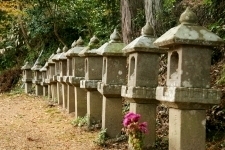 蓮花寺 高い建物