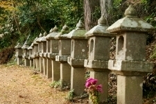 蓮花寺　高い建物