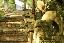 蓮花寺 天井